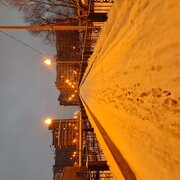 Alkjhgfdd
