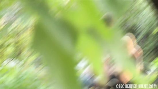 Чешская шлюха продалась пикаперу и отсосала в лесу