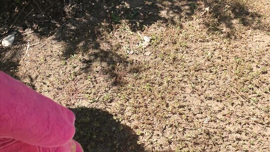 После анала в кустах купаться в озере будет приятней