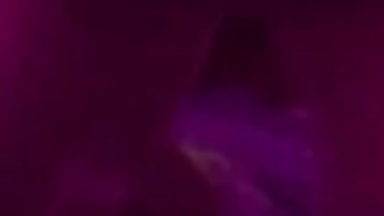 Обработка✓