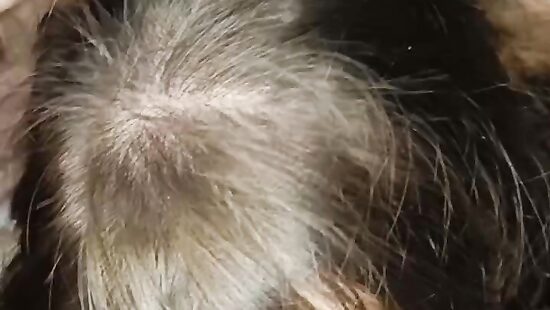 Сосу огромный член перед сексом