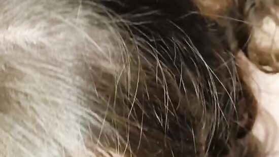 Сосу огромный член перед сексом