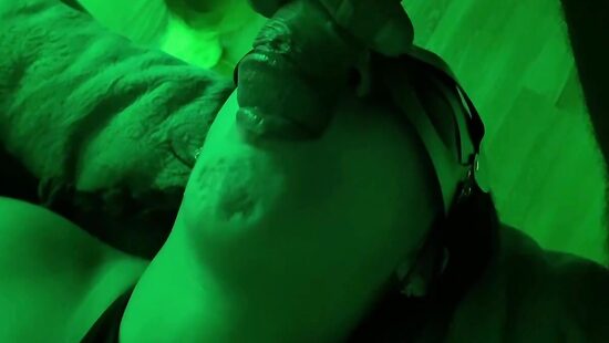 И снова она, моя бестия