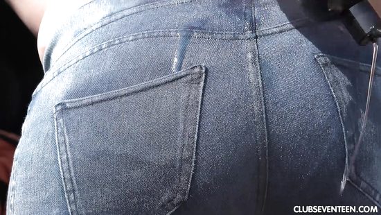 Попутчица согласилась рассчитаться за проезд сексом на природе