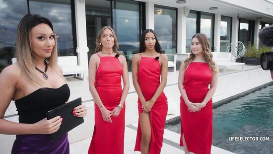 История одного холостяка