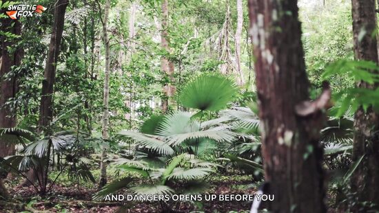 Подземелья и драконы: Варвар Свити Фокс