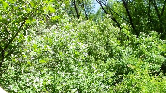 отдых на природе