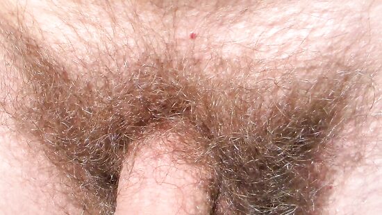 отдых на природе