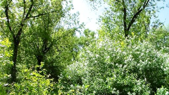 отдых на природе