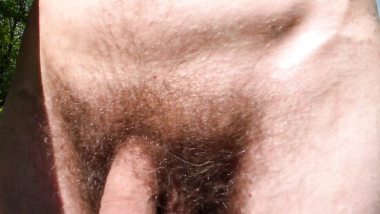 отдых на природе