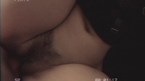 Крик: Пленки Дианы Дэниелс