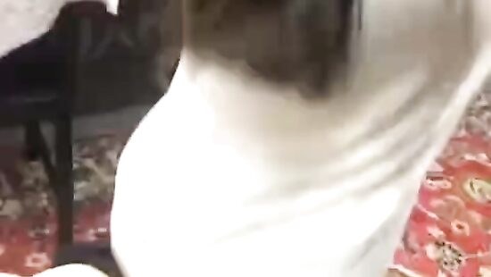 Трахнул подругу, родители уехали на дачу