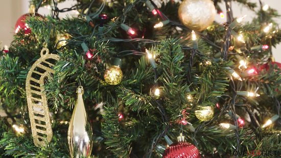 Получила на Новый год желанный подарок и отблагодарила милого фут фетишем