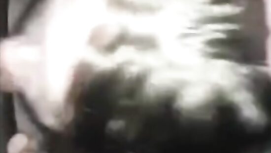 Жадно сосет