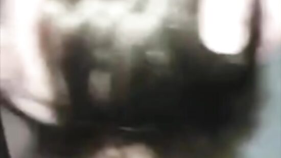 Жадно сосет