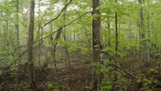 Киллербот S01E07