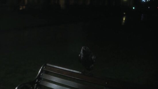 Песочный человек S01E03