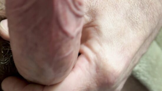 Член на чиле