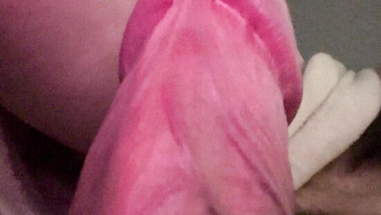 Член на чиле 