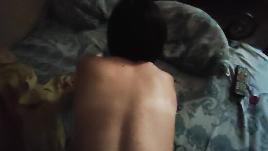 Кису в догги