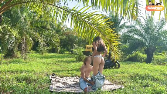 В поездке по нетраханным джунглям