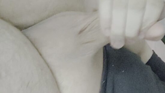 Люблю когда мною командуют