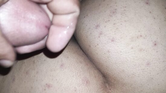 Amlar
