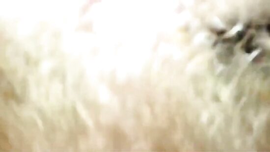 Трахнули жену