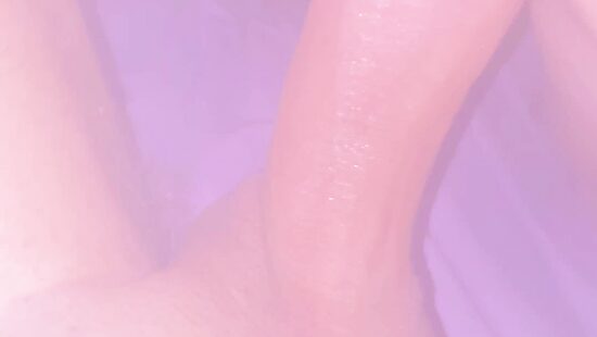 Любимый вид