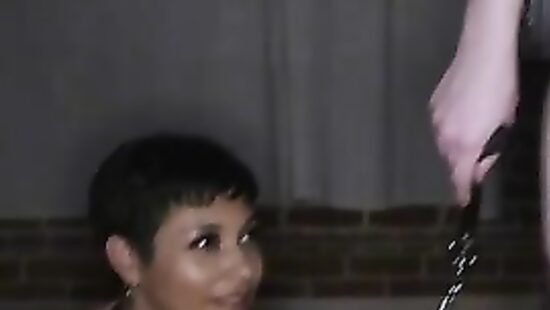 Завёл вместо сбежавшего кота