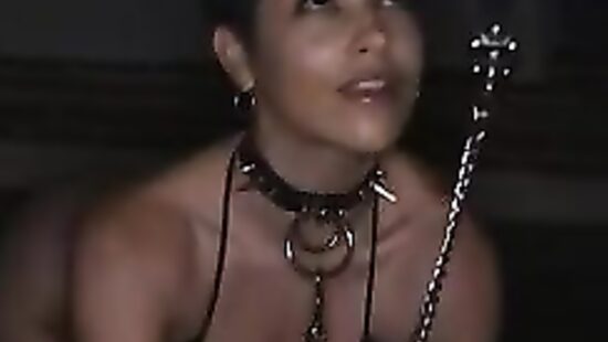 Завёл вместо сбежавшего кота