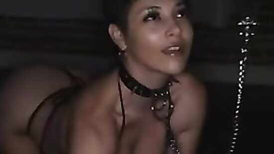 Завёл вместо сбежавшего кота