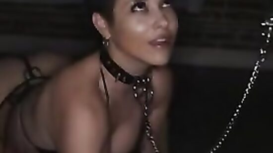 Завёл вместо сбежавшего кота