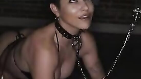 Завёл вместо сбежавшего кота