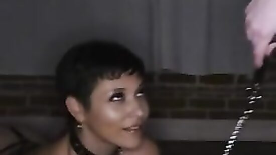 Завёл вместо сбежавшего кота