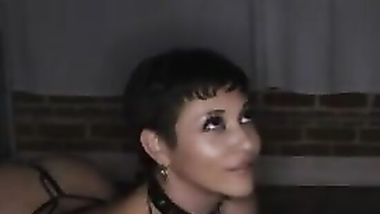 Завёл вместо сбежавшего кота