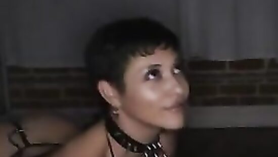 Завёл вместо сбежавшего кота