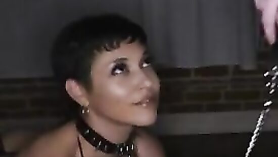 Завёл вместо сбежавшего кота