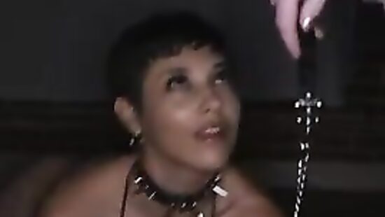 Завёл вместо сбежавшего кота