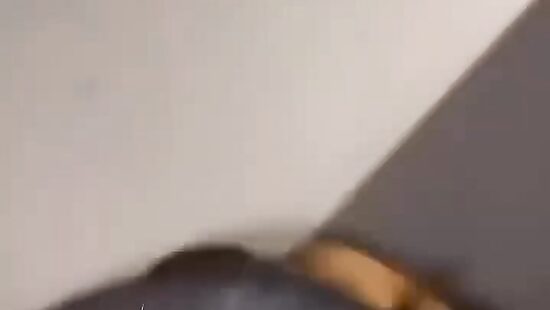 Запускаем тренды в стринги