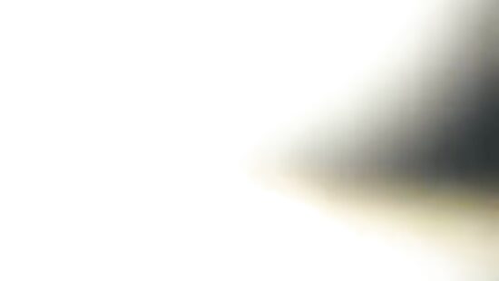 Нырнуть на лису подруге - порядочный поступок