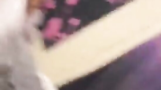 Пираты порвут в следующем матче