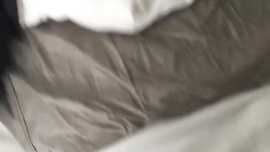 Снял вам видос, пока лысого гонял