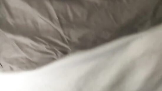 Снял вам видос, пока лысого гонял