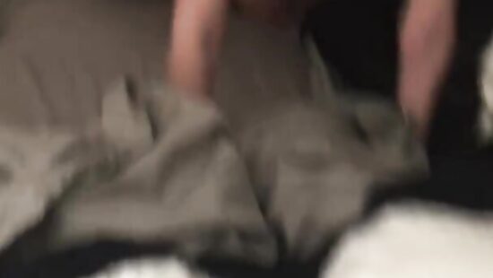 Снял вам видос, пока лысого гонял