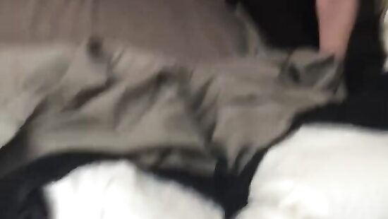 Снял вам видос, пока лысого гонял